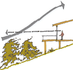 Design factors for a south-sloping site